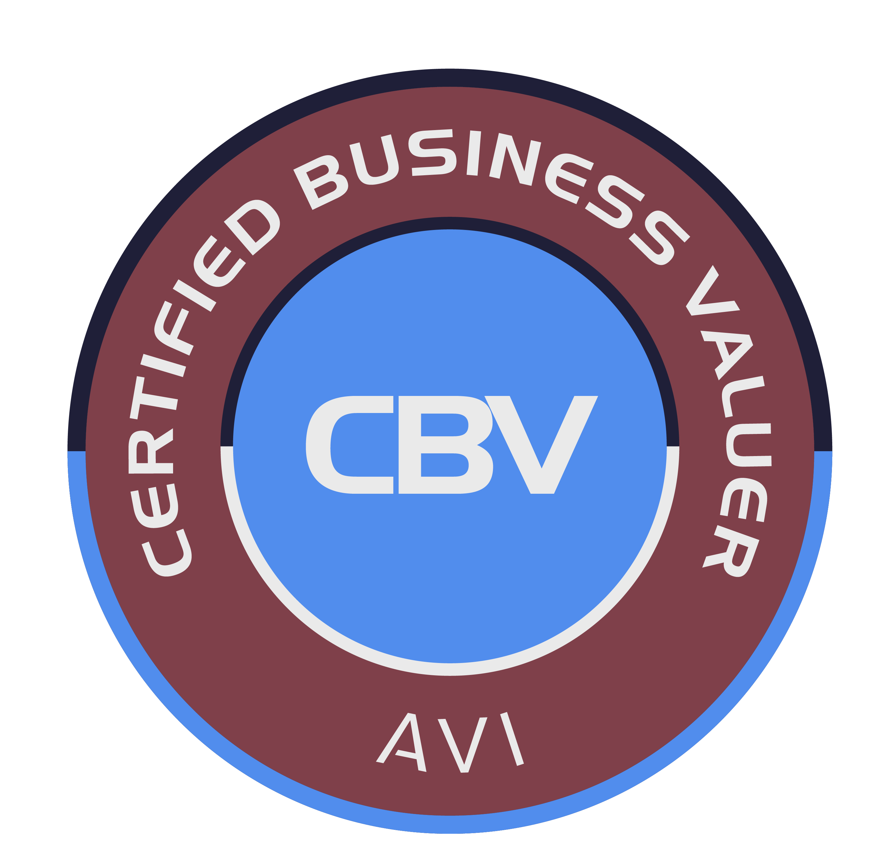 AVI Certified Business Valuer